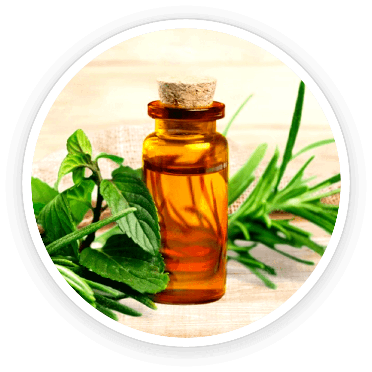 kerassentials™-ingredient4-tea-tree-oil