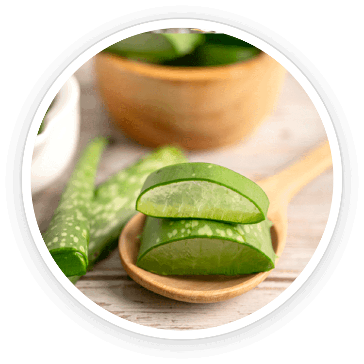 kerassentials™-ingredient6-aloe-vera